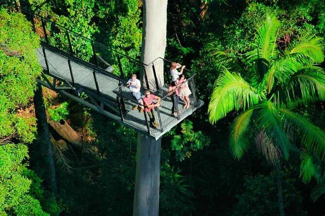 Tamborine Rainforest Skywalk + Hop on Hop off Bus - What the Tour Entails: A Detailed Breakdown
