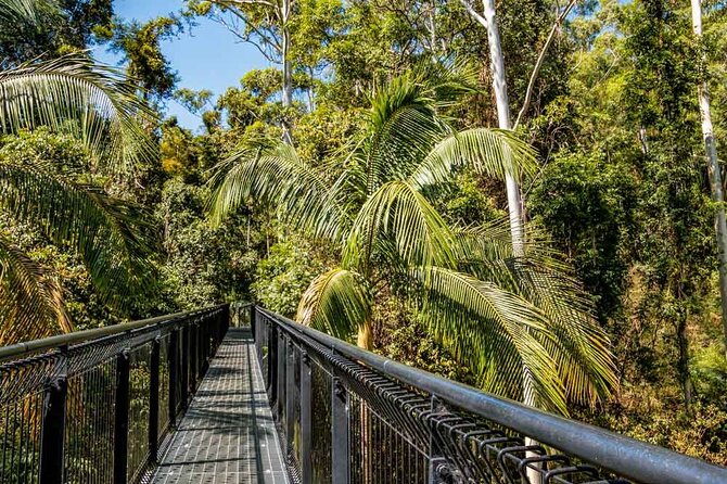 Tamborine Rainforest Skywalk Hop on Hop off Shuttle - Cancellation Policy