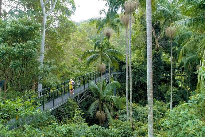 Tamborine Rainforest Skywalk Hop on Hop off Shuttle - Shuttle Schedule