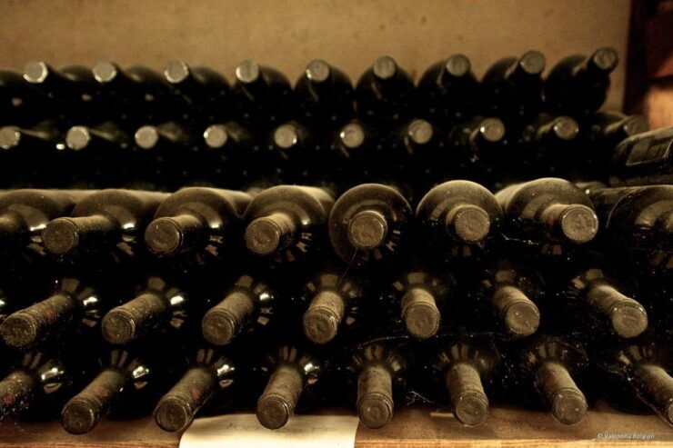Tamburini Wine Tour and Tasting - Duration and Languages Offered