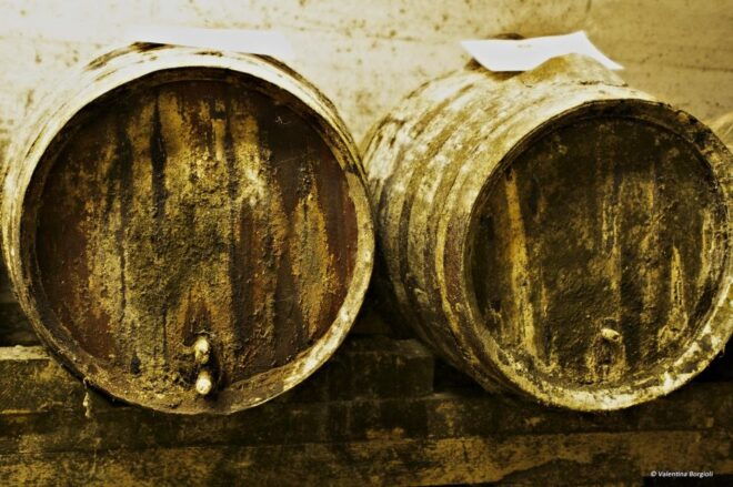 Tamburini Wine Tour and Tasting - Activity Description and Inclusions