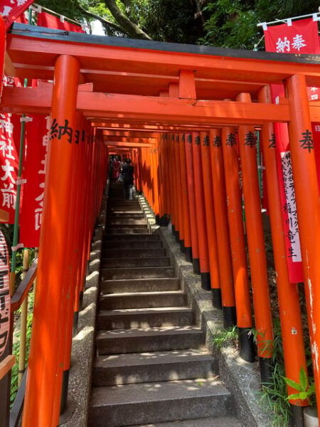 Tameike: Exploring the Heart of Japanese Politics Tour - Tour Inclusions
