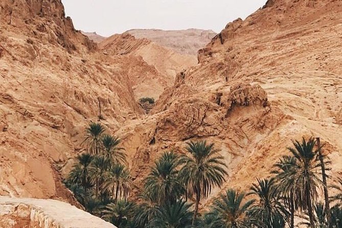 Tamerza Canyon Oasis Tour - Top Sights in Tozeur