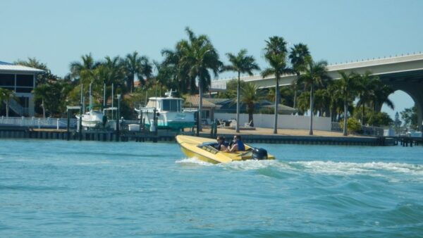 Tampa Bay 2-Hour Speedboat Adventure - The Sum Up