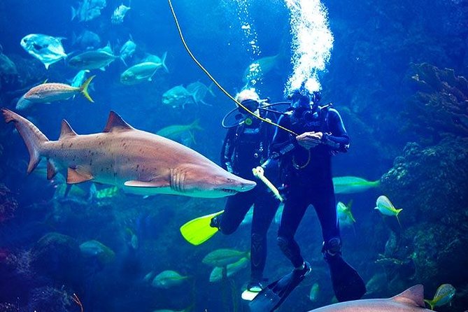 Tampa Bay CityPASS - Additional Attractions and Options