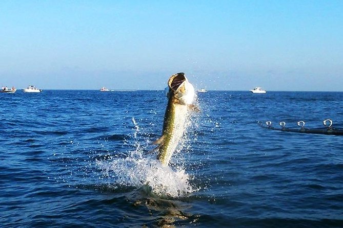 Tampa Bay Inshore Fishing Charters - Copyright Notice