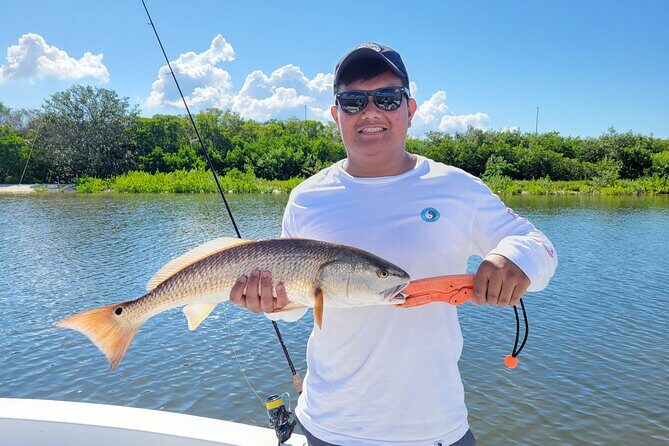 Tampa Bay Private Fishing Charter - An In-Depth Look at the Tampa Bay Private Fishing Tour