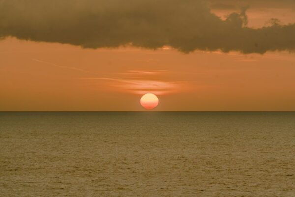 Tampa Bay: Private Sunset Cruise With Champaign or Wine - The Sum Up