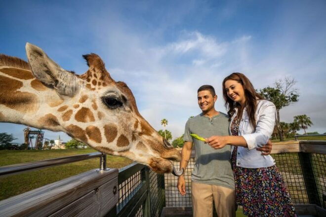 Tampa Bay: Serengeti Safari Tour - Inclusions