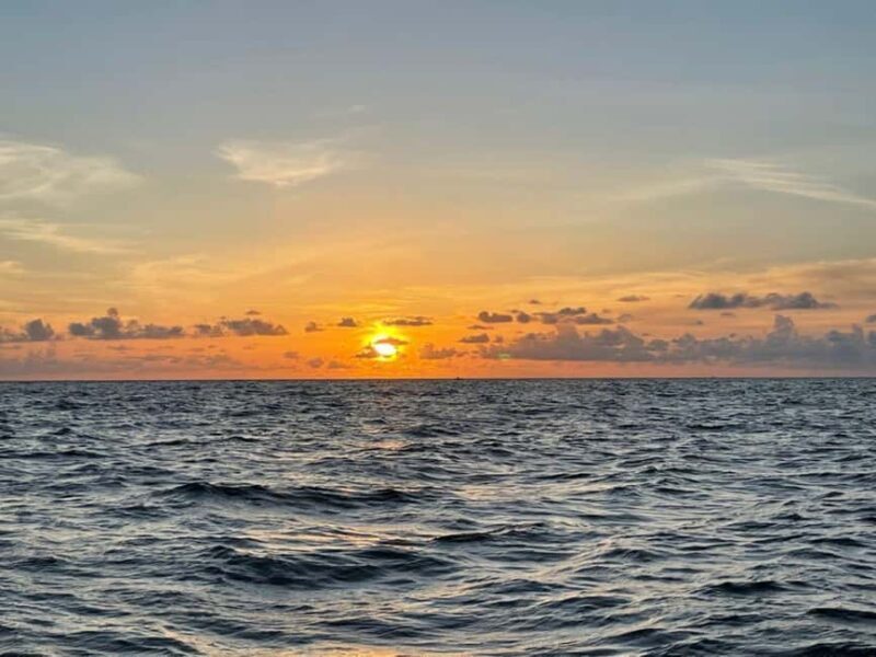 Tampa Bay: Sunset Cruise with Celebrity Homes and Wildlife - Good To Know