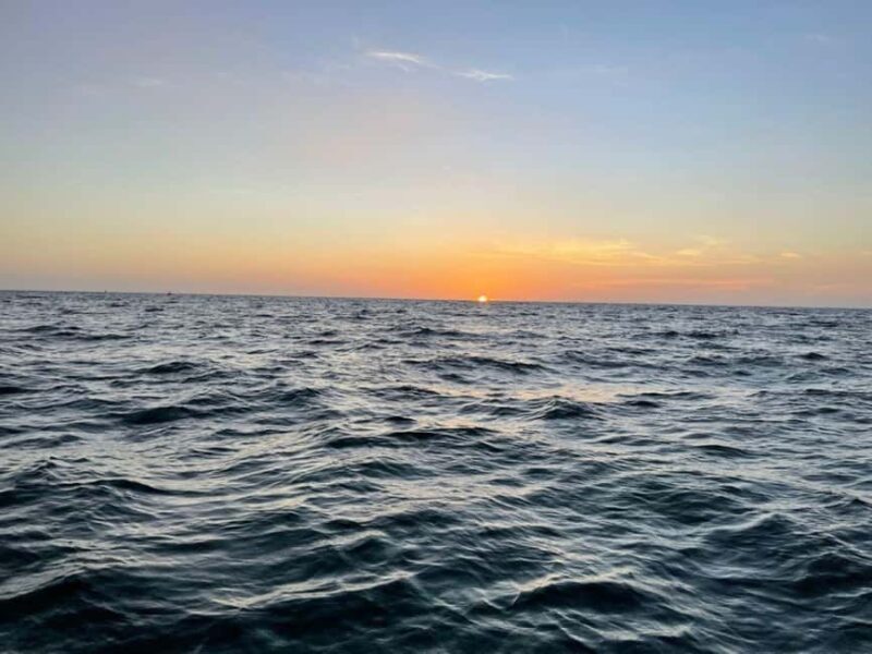 Tampa Bay: Sunset Cruise with Celebrity Homes and Wildlife - Viewing Celebrity Homes and Noticing Wildlife