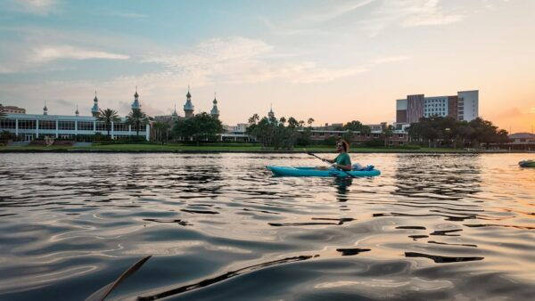Tampa: Clear Glowing Kayak Nighttime Tour - Contact Information
