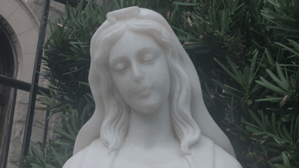Tampa Ghost Tour: Haunted History and Paranormal - Frequently Asked Questions