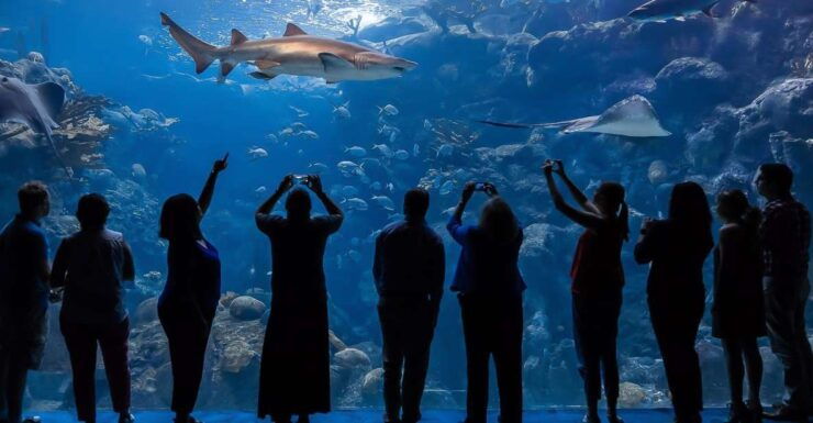 Tampa: The Florida Aquarium Skip-the-Line Entrance - Ticket Details