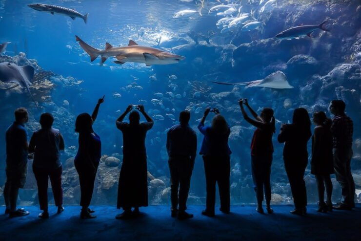 Tampa: The Florida Aquarium Skip-the-Line Entrance - Experience Highlights
