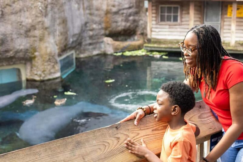 Tampa: ZooTampa at Lowry Park Ticket with After Hours Option - A Deep Dive into the ZooTampa Experience