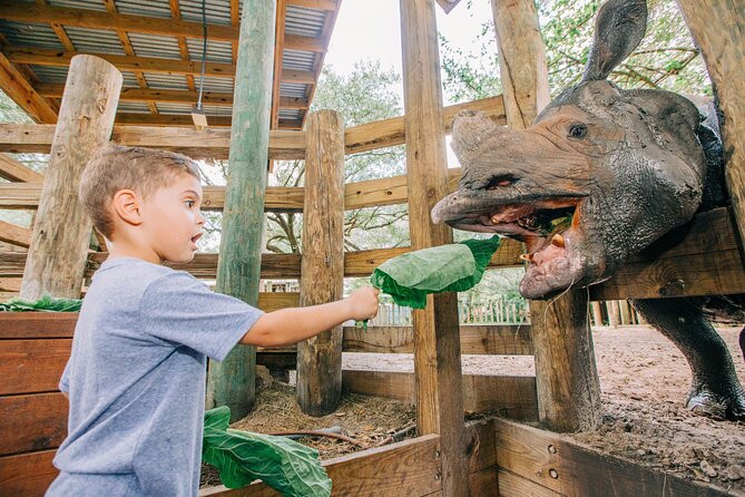 Tampas ZooQuarium Admission - Benefits of Visiting Zoo Tampa and Florida Aquarium