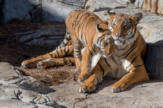 Tampas ZooQuarium Admission - Refund Policy and Cancellation Guidelines