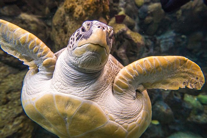 Tampas ZooQuarium Admission - Traveler Reviews and Ratings
