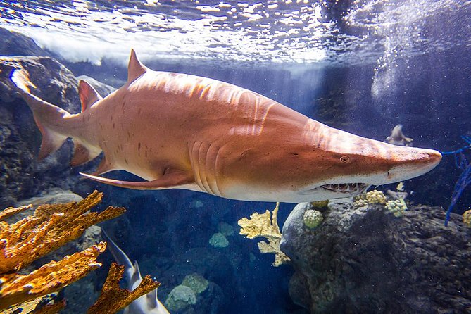 Tampas ZooQuarium Admission - Common Questions