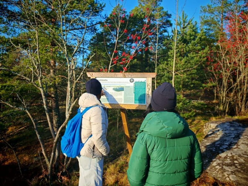 Tampere Panoramic Tour - Who Will Enjoy This Experience?