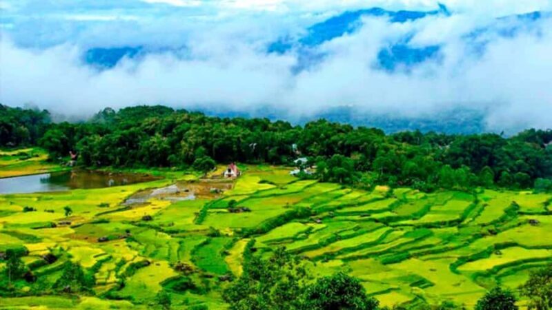 Tana Toraja: Explore Traditional Village and Nature Beauty - Introduction to the Tana Toraja Tour Experience