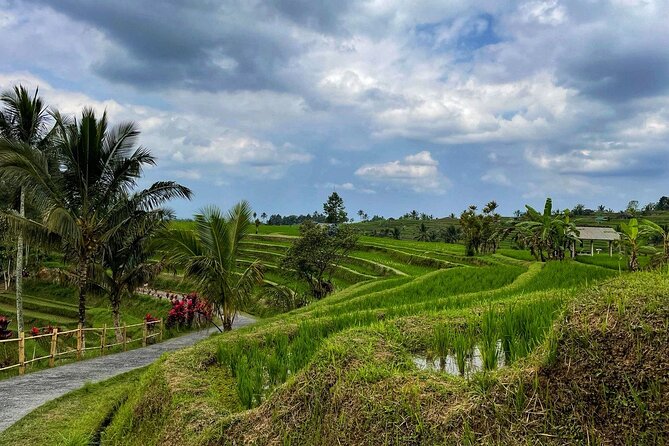 Tanah Lot and Countryside Tour - Inclusions and Exclusions