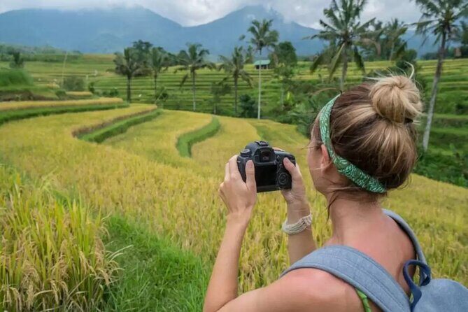 Tanah Lot, Jatiluwih Rice Terrace and Waterfall Day Tour - Value for Money