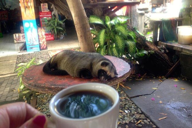 Tanah Lot Temple Canggu Rice Field eBike Private Tour - Why Choose This Tour?