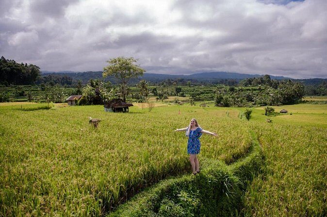 Tanah Lot Temple & Coastal Sunset Tour - The Sum Up: Is This Tour Right for You?