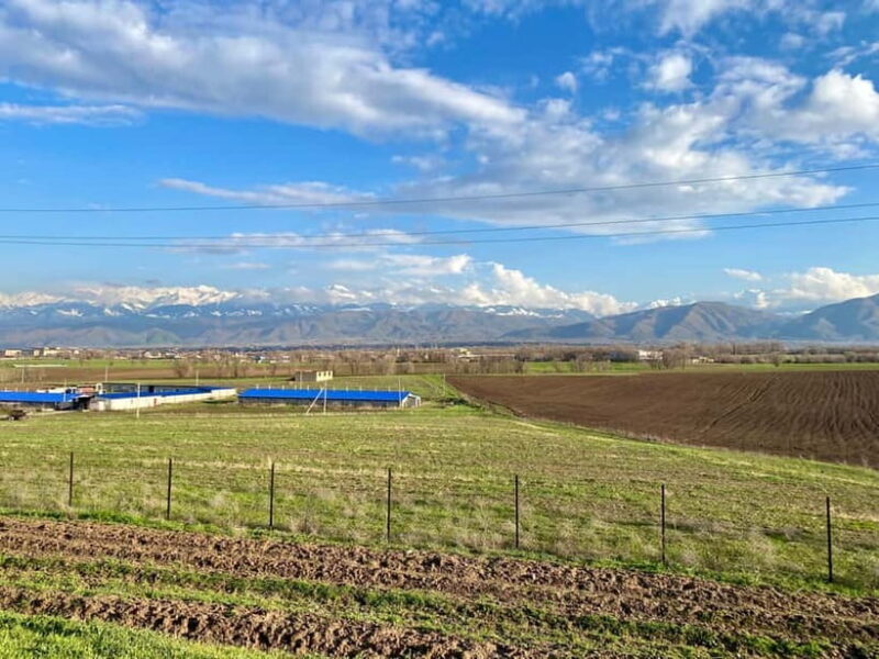 Tanbaly Gorge: Ancient Petroglyphs UNESCO Site Day Tour - Frequently Asked Questions