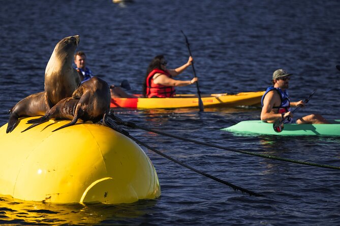 Tandem Kayak Rentals in Mission Bay - Safety Equipment Provided