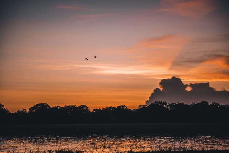 Tangalle/Hiriketiya: Yala National Park Safari in a 4x4 - Logistics and Practicalities