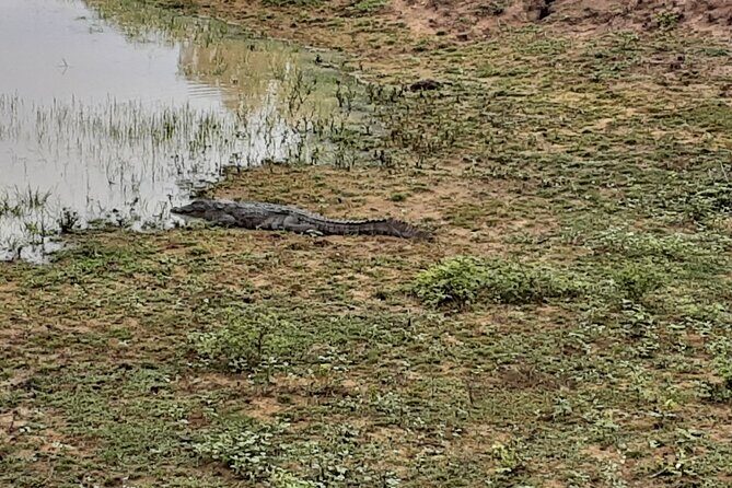 Tangalle to Katunayaka Air Port - Why Choose This Transfer Service?