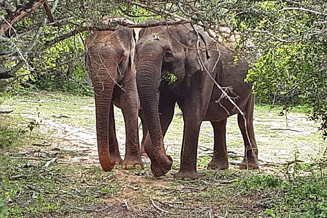 Tangalle to Katunayaka Air Port - Final Thoughts