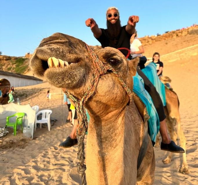 Tangier: Achakar Beach Sunset Camel Ride & Moroccan Dinner - Activity Details