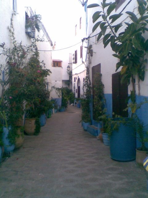 Tangier and Asilah Full Day Tour From Tangier - Tour Highlights