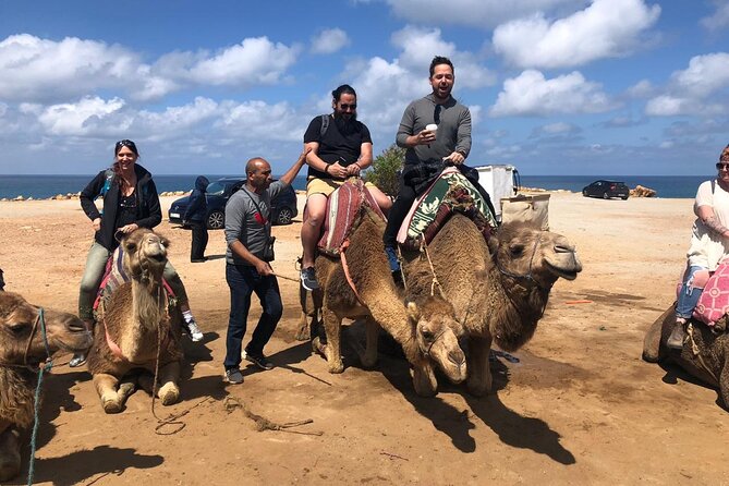 Tangier Day Trip From Seville - Tour Overview