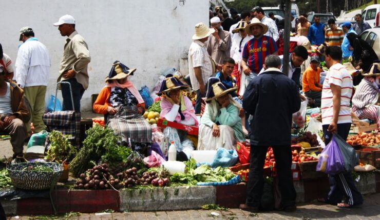 Tangier Day Trip From Tarifa: Ferry Tickets Private Tour - Activity Highlights