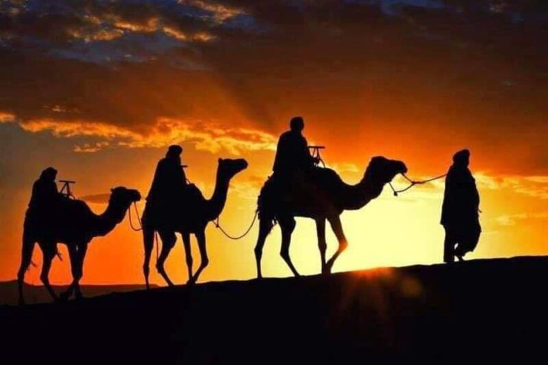Tangier: Day Trip From Tarifa to Tanger  Camel Ride & Lunch - Good To Know