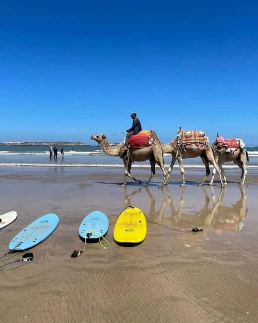 Tangier: Day Trip from Tarifa To Tanger { camel ride - The Sum Up