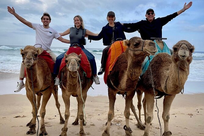 Tangier Full Day Private Tour Including a Camel Ride on the Beach - Camel Ride Experience