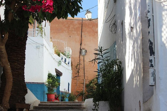 Tangier Guided Tour From Seville With Lunch Included - The Sum Up