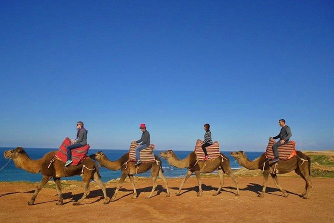 Tangier in Morocco Private Tour From Seville for up to 8 Persons - Tour Details