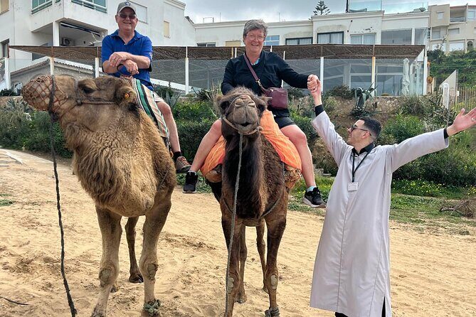 Tangier Luxury Private day trip from Marbella All inclusive - Wrapping Up the Day