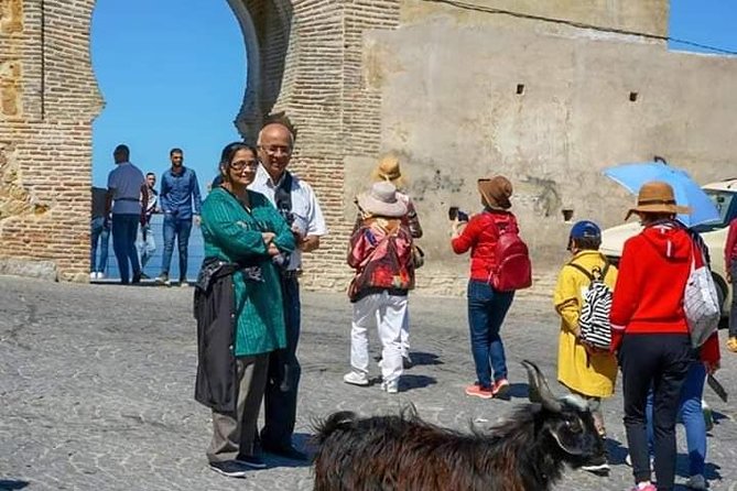 Tangier Private 5 Hour Tour Atlantic Coastal Sites and Medina - The Sum Up