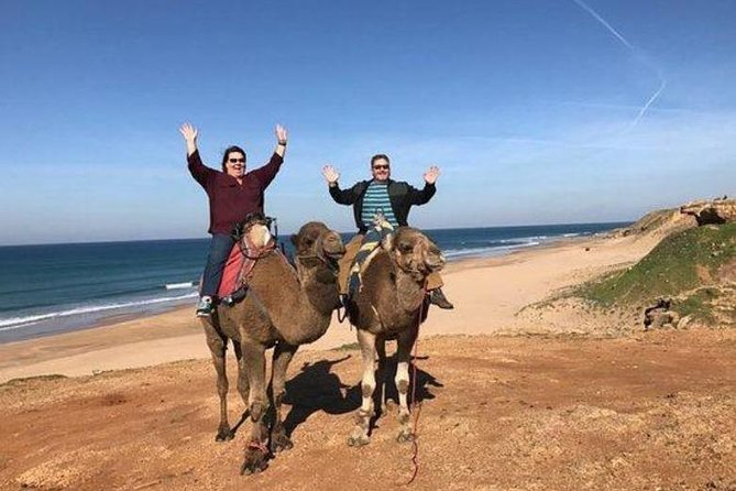 Tangier Private Day Trip From Casablanca by High Speed Train - Tour Highlights