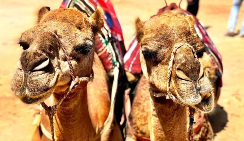 Tangier Private Day Trip from Tarifa (add-on: Ferry Tickets) - Architectural and Cultural Landmarks