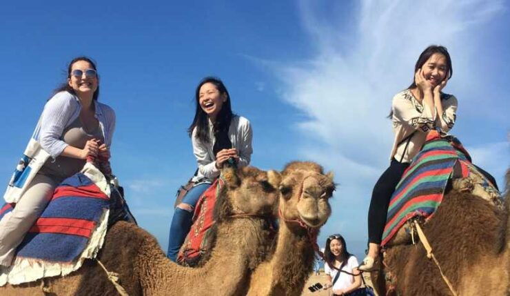 Tangier Private Half-Day Tour + Camel Ride + Add-on: Lunch - Good To Know