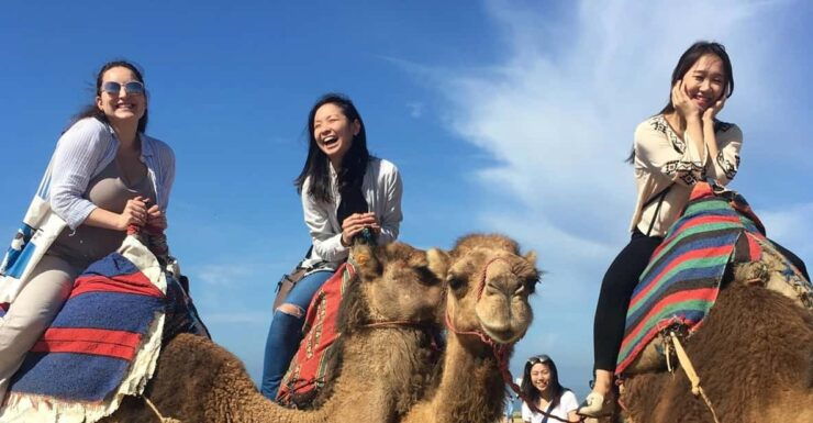 Tangier Private Half-Day Tour + Camel Ride + Add-on: Lunch - Itinerary Highlights